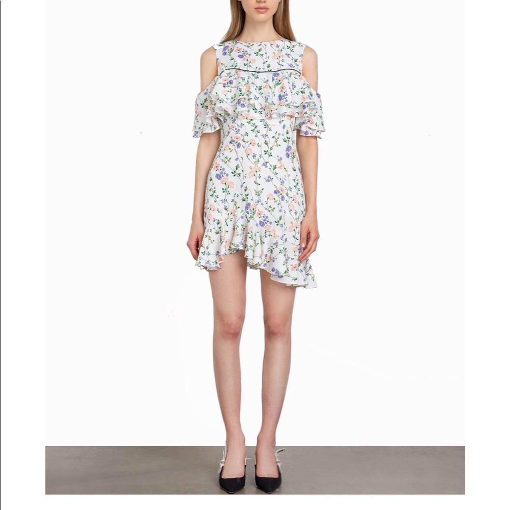 Floral Asymmetric Ruffle Dress - Picture 3 of 4